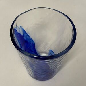 Bormioli Rocco Hand-Blown Blue Accent Water Glass